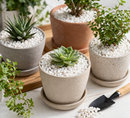 Luxury White Marble Gravel 10mm – High-End Decorative Aggregate for Modern Garden & Landscape Design