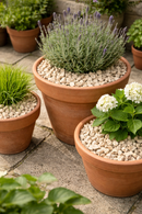 20mm Cream Cotswold Buff Limestone – Timeless Decorative Chippings for Outdoor Living Spaces