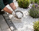 Premium 20mm Polar White Gravel – Spanish Marble Garden Stone for Borders, Paths & Ground Cover