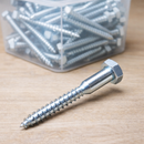 Coach Screws – Bright Zinc-Plated – Residential & Commercial Use