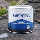 Roof Repair Compound – Waterproof – Exterior
