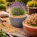 14mm Cotswold Gold Gravel – Golden Limestone Garden Chippings (8–14mm) | Decorative Path & Ground Cover Stone