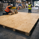 Softwood Plywood – Elliotis Pine – Interior & Exterior Use