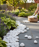 Premium Polar White Cobbles 40-80mm - Smooth, Ethically Sourced Decorative Stones for Gardens and Landscaping