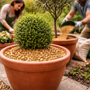 14mm Cotswold Gold Gravel – Golden Limestone Garden Chippings (8–14mm) | Decorative Path & Ground Cover Stone