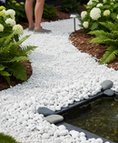 Premium Polar White Pebbles 20-50mm - Smooth and Shiny Decorative Stones for Gardens and Water Features