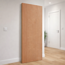 FD30 Fire Door – Plywood – Residential & Commercial Use